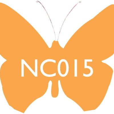 Amber NC015 100g