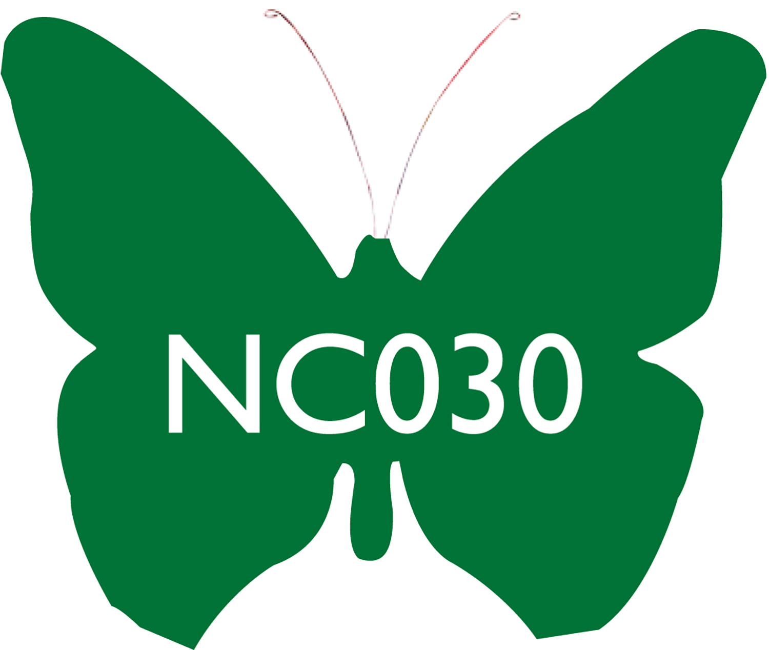NC030 AMAZON 100g
